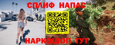 PSILOCYBIN Гусиноозёрск