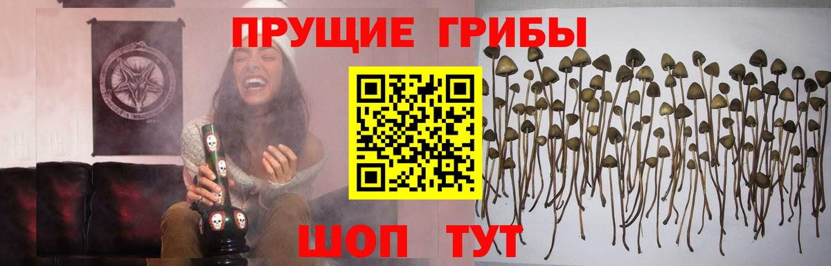 Галлюциногенные грибы мицелий Михайловск