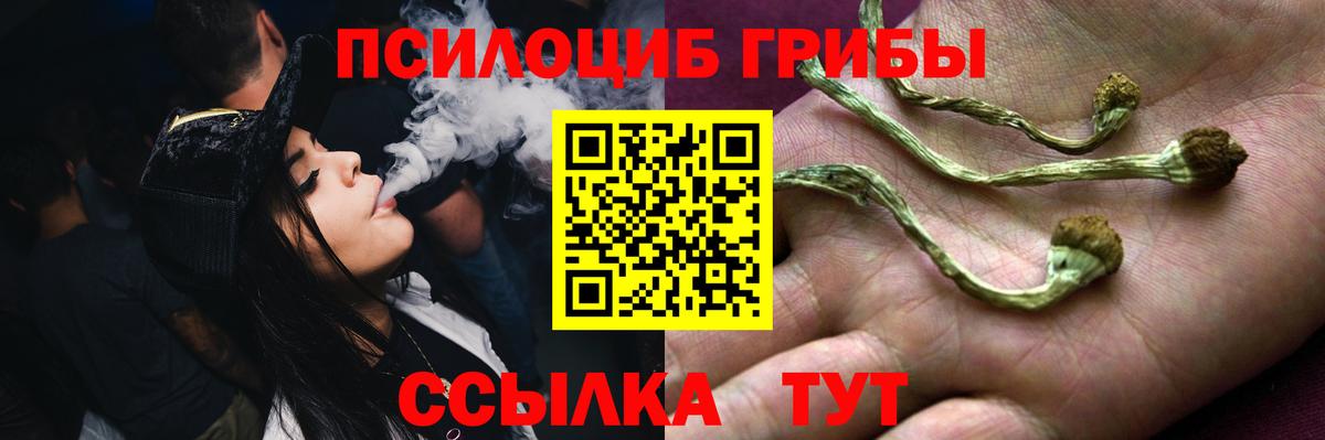 Михайловск  Псилоцибиновые грибы Magic Shrooms  Вход с VPN 